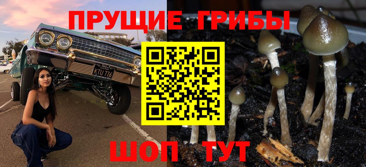 Галлюциногенные грибы Magic Shrooms  купить   Вход с VPN  Ефремов  Галлюциногенные грибы GOLDEN TEACHER 