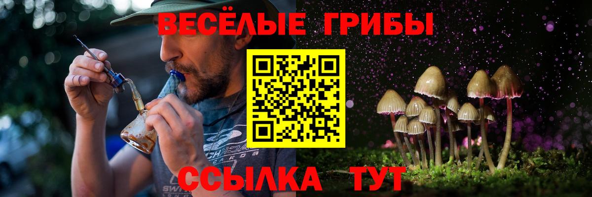 Галлюциногенные грибы Magic Shrooms Ефремов