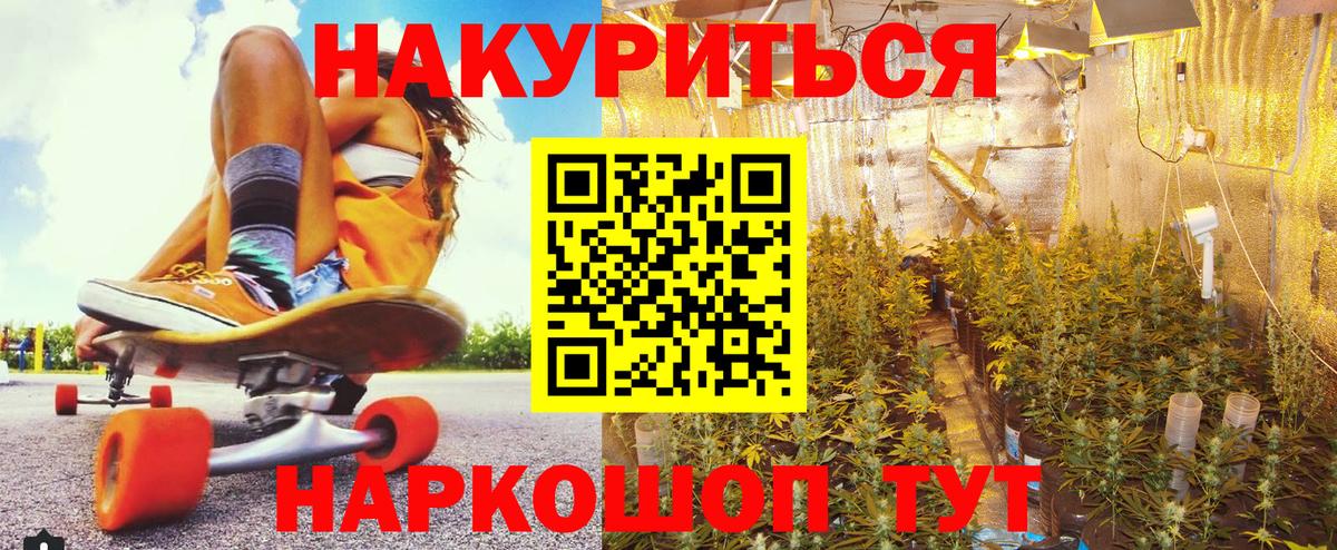 Канабис сатива Ефремов